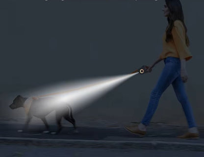 Laisse rétractable pour chien | LED