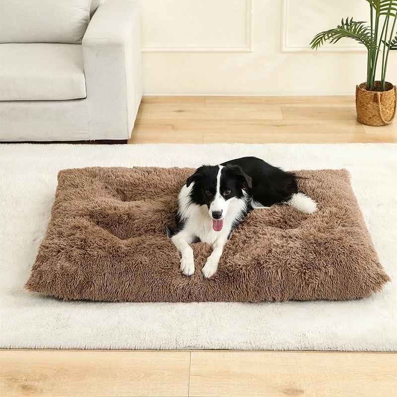 Coussin pour chien