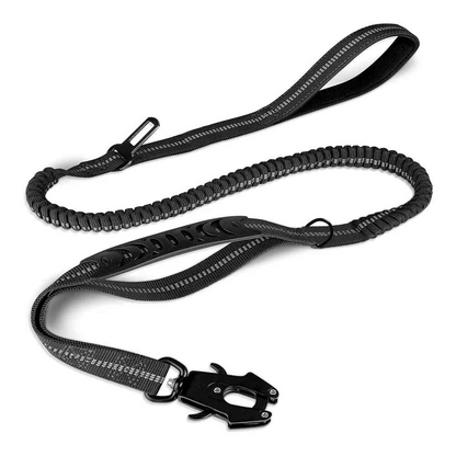 laisse pour chien | Robuste