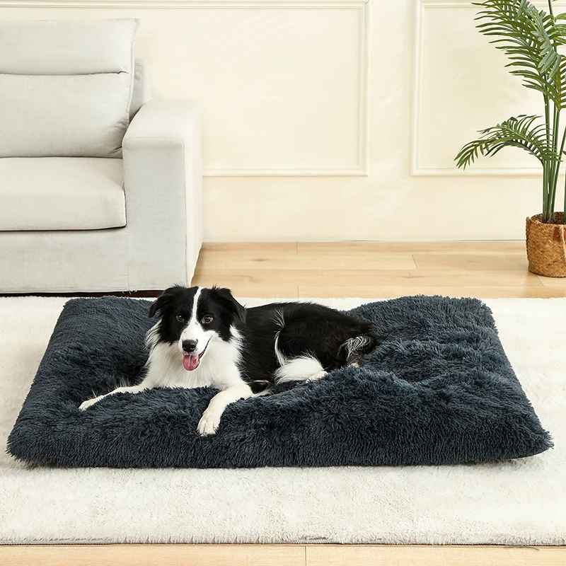 Coussin pour chien