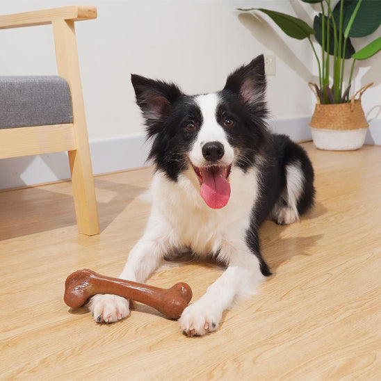 Os caoutchouc pour chien à nettoyage dentaire 