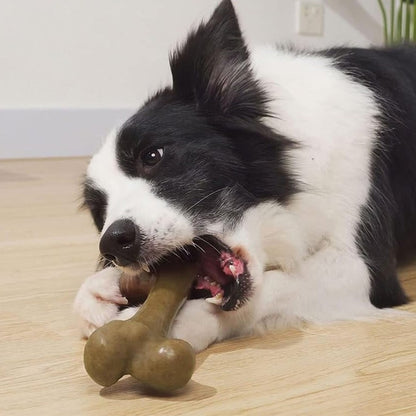 Os caoutchouc pour chien en Texture qui masse délicatement les gencives
