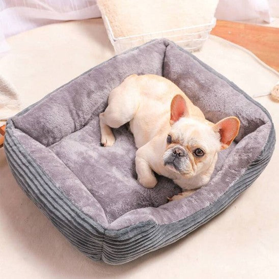 Panier pour chien | Déhoussable