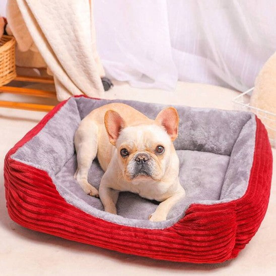 Panier pour chien | Déhoussable