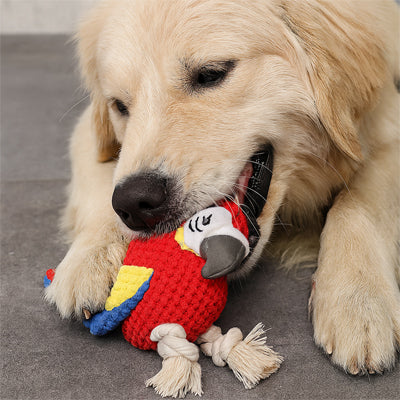 Peluche Chien qui stimule Tous Les Sens Canins