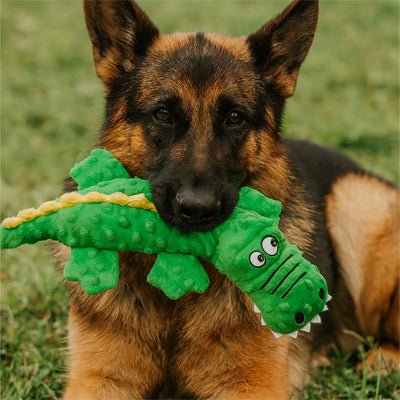Peluche Chien qui renforce les liens