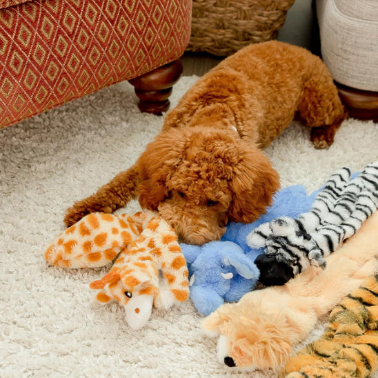Peluche Chien adaptable à chaque profil canin
