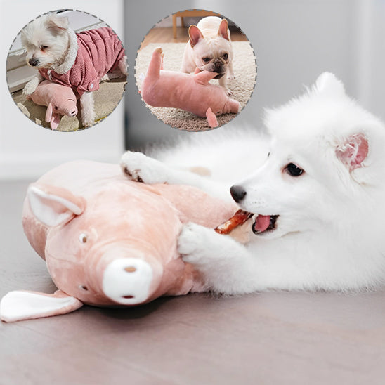 Peluche Chien adaptable à toutes les races canines