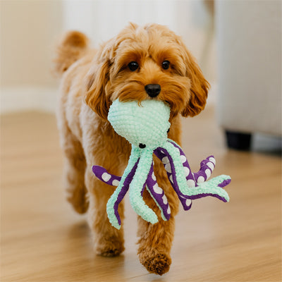 Peluche Chien aux couleurs vives qui stimule les sens du Chien