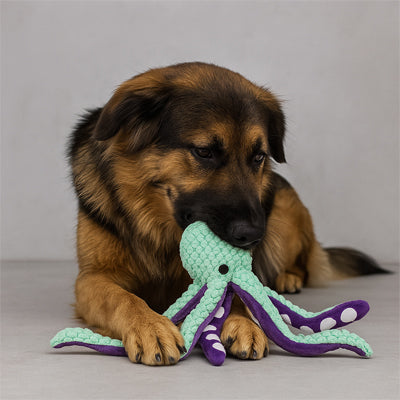 Peluche Chien en forme de pieuvre colorée est la solution parfaite pour stimuler votre compagnon au quotidien