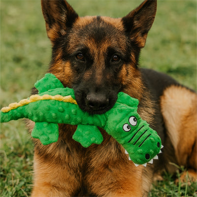 Peluche Chien qui renforce votre lien affectif avec  votre Chien
