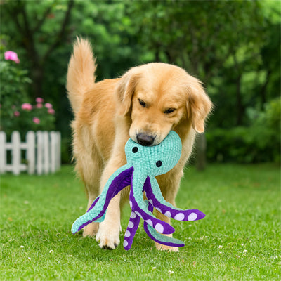 Peluche Chien ultra-résistante qui est
Conçue pour survivre aux mâchoires les plus déterminées du Chien