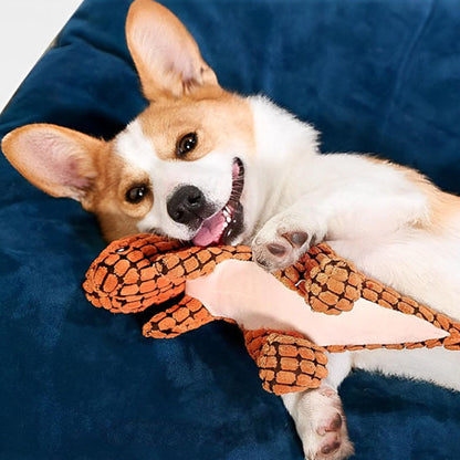 Peluche pour chiens qui garde les dents de votre chien propre