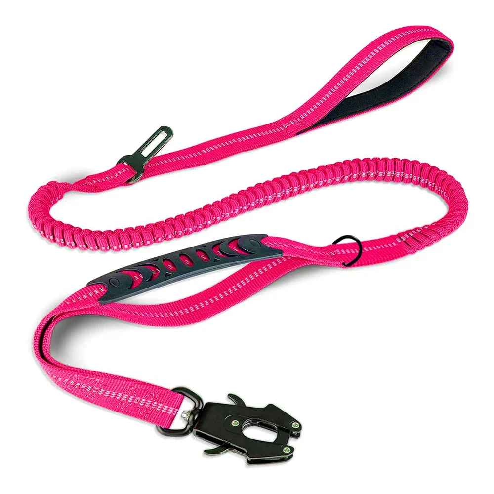 laisse pour chien | Robuste