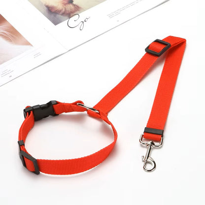 Laisse de sécurité réglable pour chien