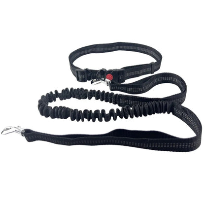 Laisse pour chien main libre | Jogging