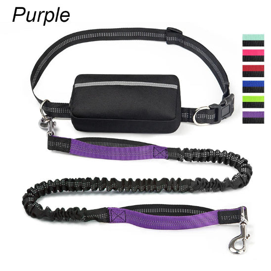 Laisse pour chien main libre | Vital