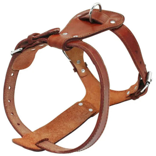 Harnais chien | Cuir
