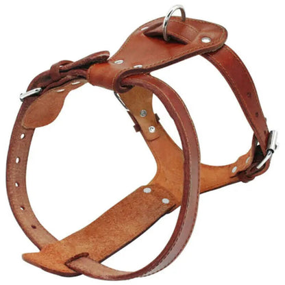 Harnais chien | Cuir