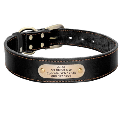collier en cuir noir pour chien personnalisé