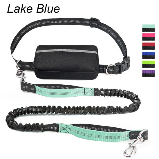 Laisse pour chien main libre | Vital