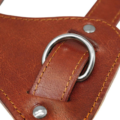 Harnais chien | Cuir