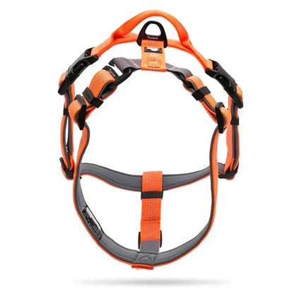 Harnais anti traction TrueLove pour Chien