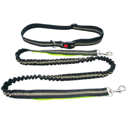 Laisse pour chien main libre | Jogging