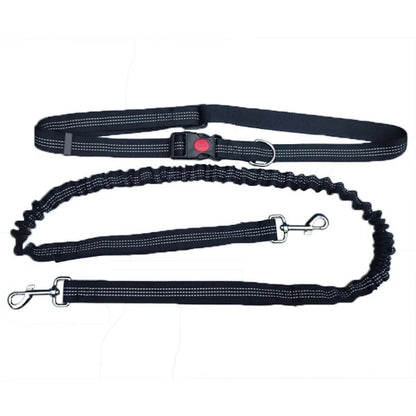 Laisse pour chien main libre | Jogging