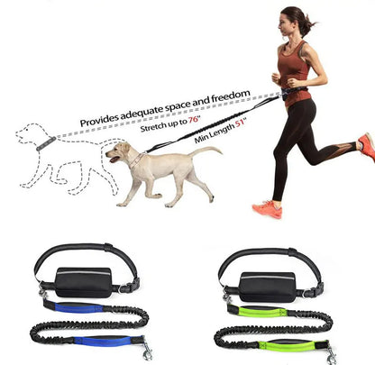 Laisse pour chien main libre | Vital