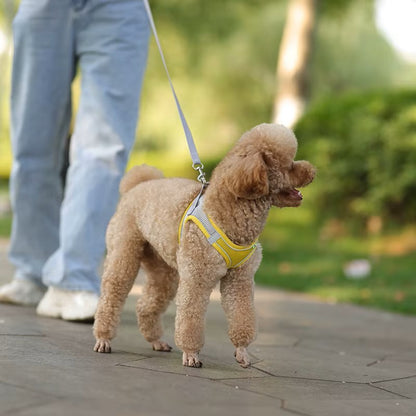harnais pour chien | Toutes saisons