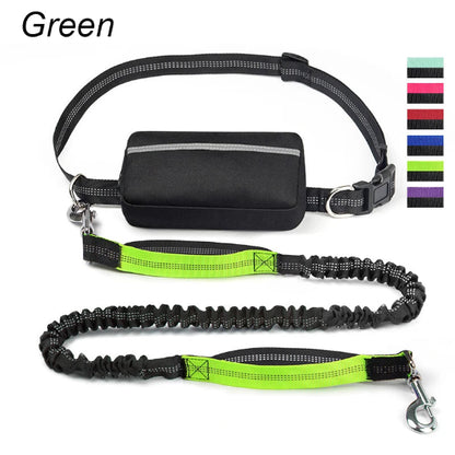 Laisse pour chien main libre | Vital