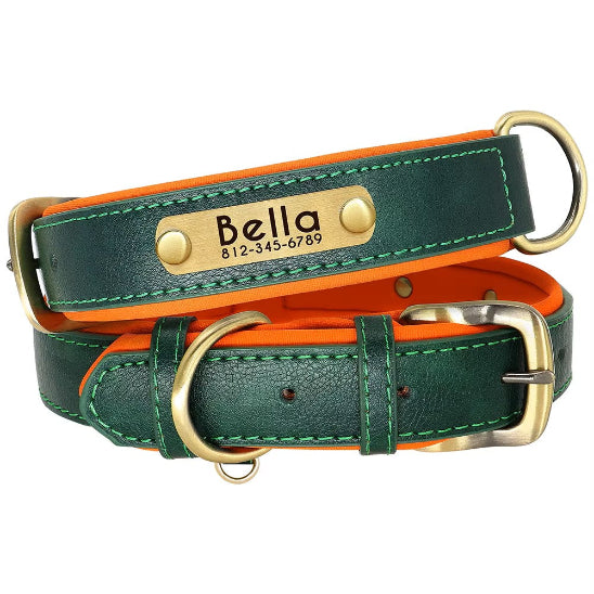 Collier Chien personnalisé prenom vert