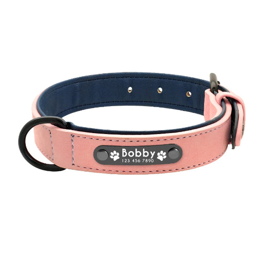 Collier prénom pour chien personnalisé