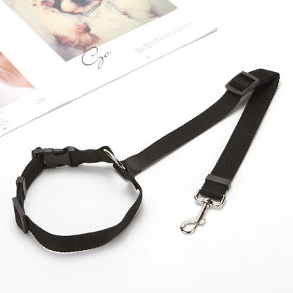 Laisse de sécurité réglable pour chien