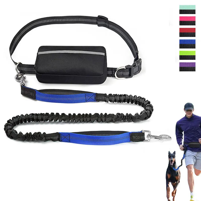 Laisse pour chien main libre | Vital