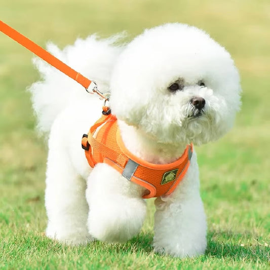 harnais pour chien | Réfléchissant