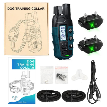 Avis collier anti fugue Chien