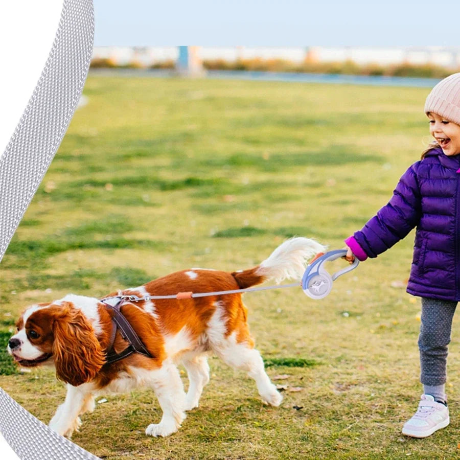 Laisse chien extensible 3 mètres