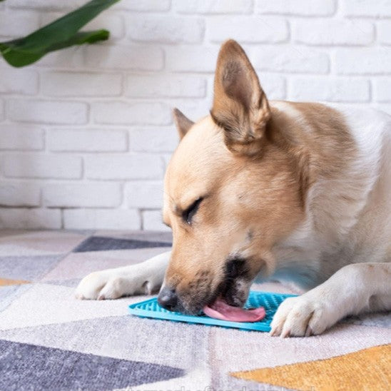 Tapis de lechage chien en texture douce