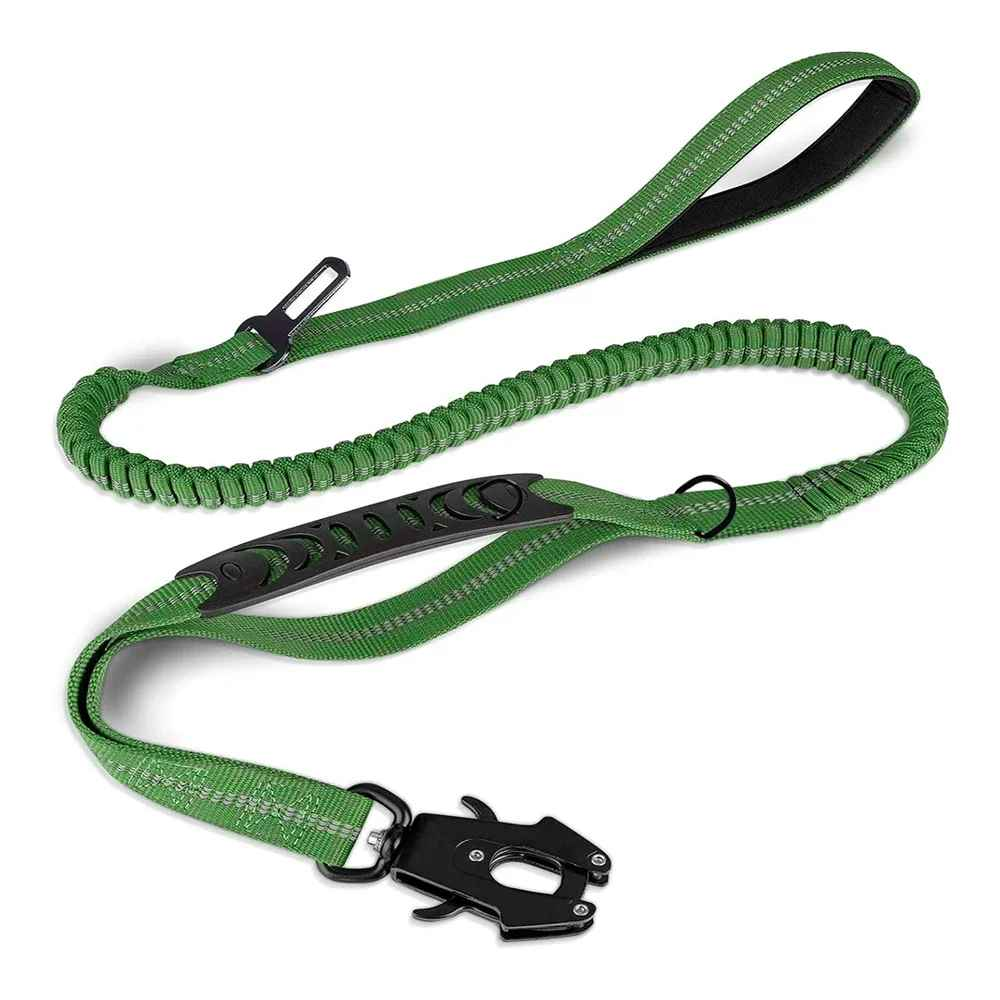 laisse pour chien | Robuste