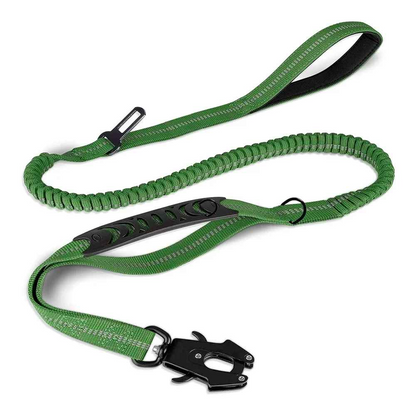 laisse pour chien | Robuste