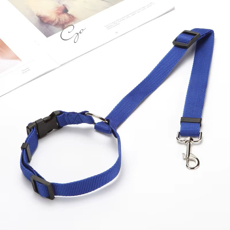 Laisse de sécurité réglable pour chien