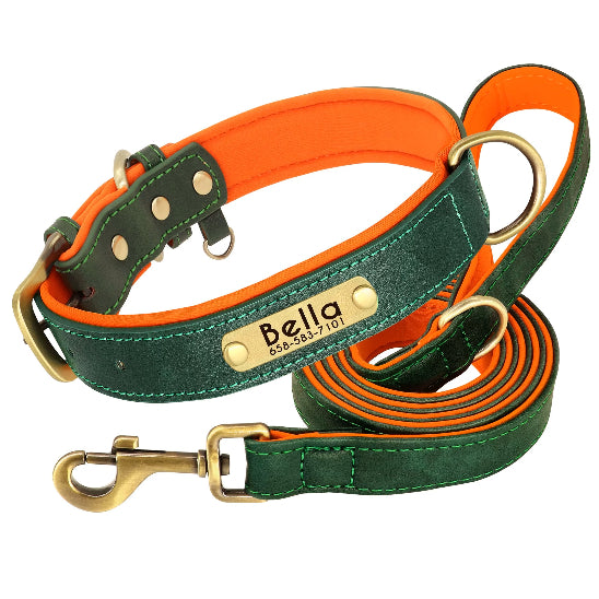 Collier Chien personnalisé prenom vert
