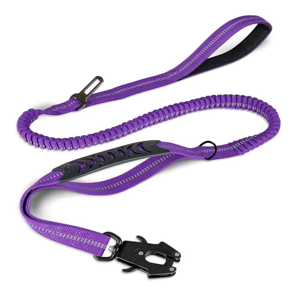 laisse pour chien | Robuste