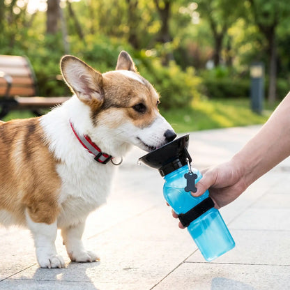 Distributeur D'eau Pour Chien | Portable 500ml