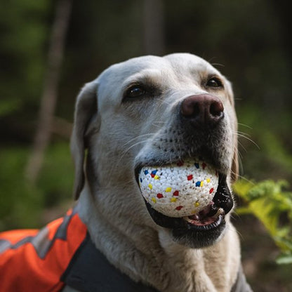 Balle chien qui résiste aux mâchoires les plus puissantes 