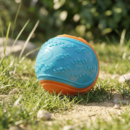 balle en caoutchouc pour chien bleu