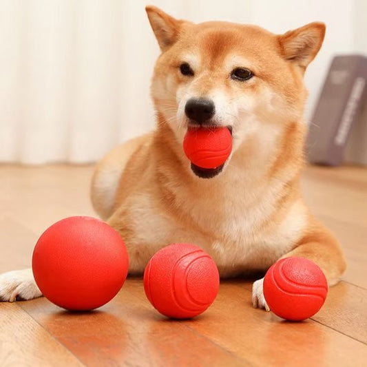 Balle pour Chien indestructible | JoyCanin - Excursion Chien