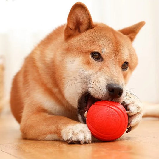balle indestructible pour chien Coloris rouge vif qui facilite la localisation lors des sessions de jeu